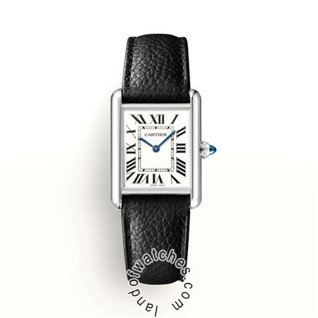 Buy CARTIER CRWSTA0041 Watches | Original