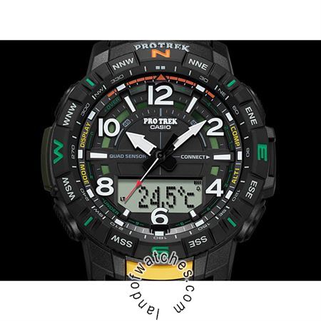 Buy Men's CASIO PRT-B50-1 Watches | Original
