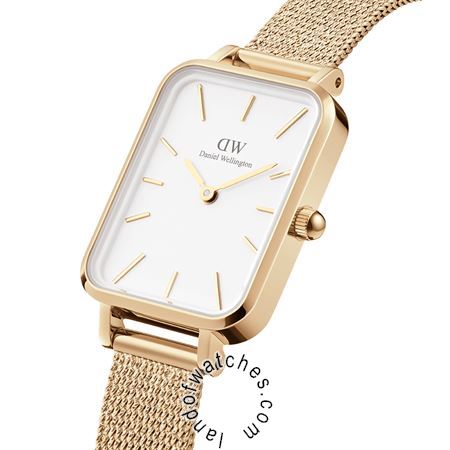 Buy DANIEL WELLINGTON DW00100556 Watches | Original