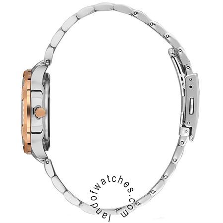 شراء ساعة معصم نسائیه دیوید غانر(David Guner) DG-8389LA-E6 | | | الأصلي