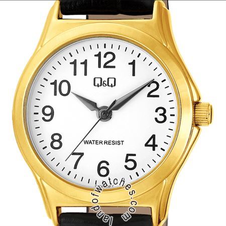 Buy Women's Q&Q C07A-004PY Watches | Original