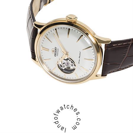 شراء ساعة معصم رجالیه اورینت(ORIENT) RA-AG0003 كلاسيك | | | الأصلي