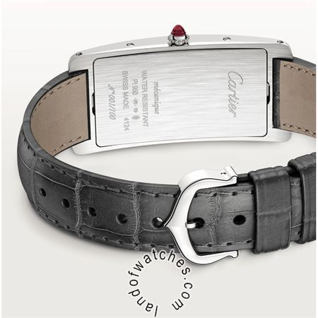 Buy CARTIER CRWGTA0027 Watches | Original