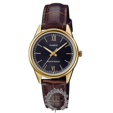 Buy CASIO LTP-V005GL-1B2 Watches | Original