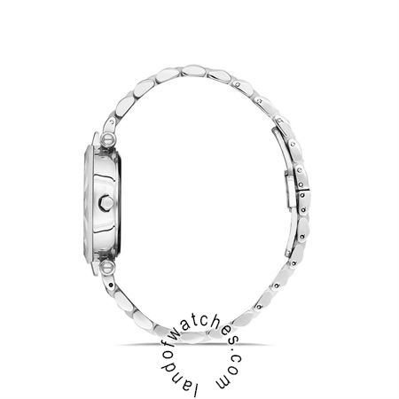 Buy Women's David Guner DG-8183LA-A1 Classic Watches | Original