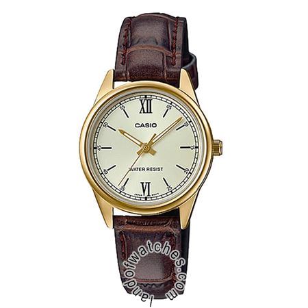 Buy CASIO LTP-V005GL-9B Watches | Original