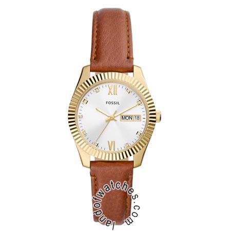 Buy Women's FOSSIL ES5184 Classic Watches | Original