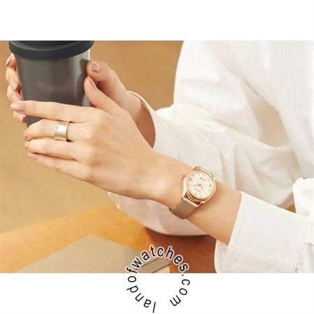 شراء ساعة معصم نسائیه سیکو(SEIKO) SRPF50J1 كلاسيك | | | الأصلي