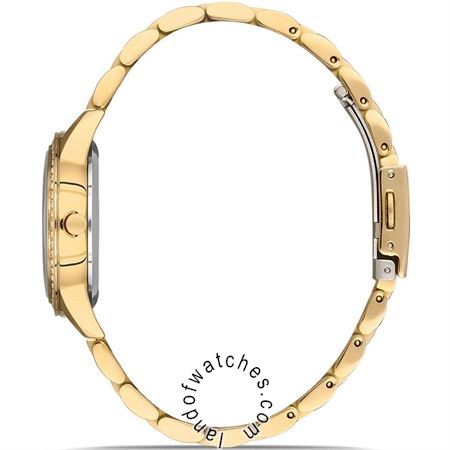 شراء ساعة معصم نسائیه دیوید غانر(David Guner) DG-8365LA-B1 موضه | | | الأصلي