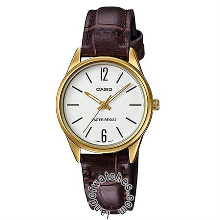 Buy CASIO LTP-V005GL-7B Watches | Original