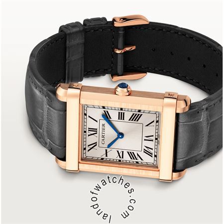 Buy CARTIER CRWGTA0075 Watches | Original