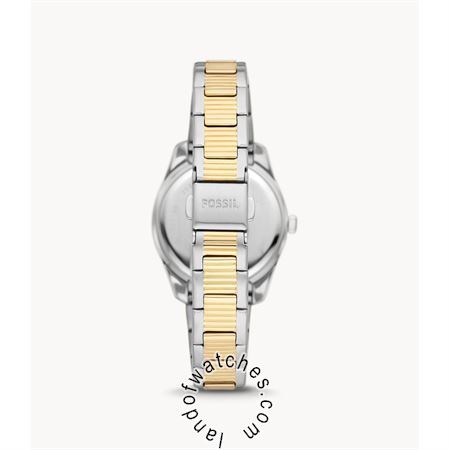 Buy Women's FOSSIL ES5198 Classic Watches | Original