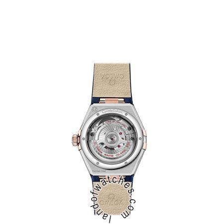 Buy OMEGA 131.23.29.20.99.003 Watches | Original