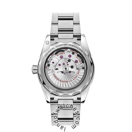 Buy Men's OMEGA 234.30.41.21.01.001 Watches | Original