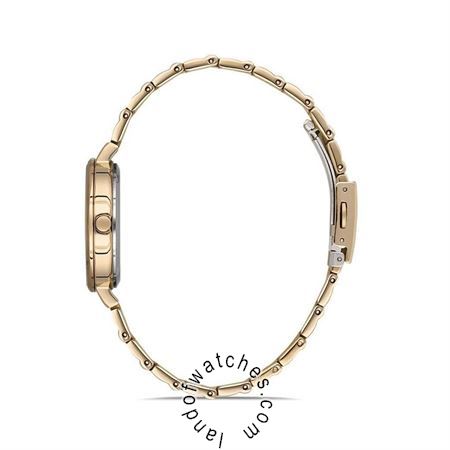 Buy Women's David Guner DG-8148LA-B1 Classic Watches | Original