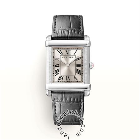 Buy CARTIER CRWGTA0074 Watches | Original