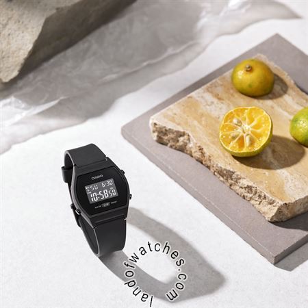 Buy Women's CASIO LW-204-1B Watches | Original