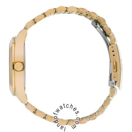 Buy Women's ICE WATCH 023793 Classic Watches | Original