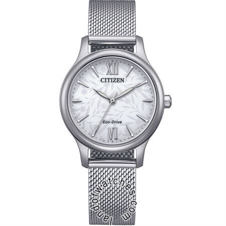 Watches Women's Fashion Watches