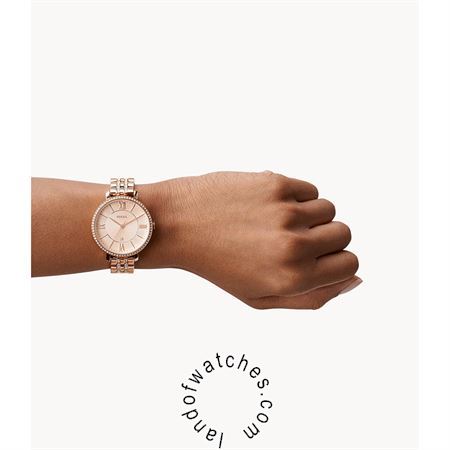 Buy Women's FOSSIL ES3546 Classic Watches | Original