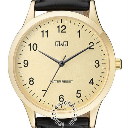 Buy Men's Q&Q C08A-014PY Watches | Original