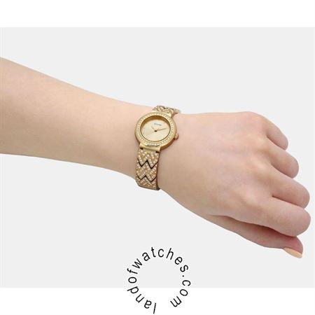 شراء ساعة معصم نسائیه غس(GUESS) GW0476L2 موضه | | | الأصلي