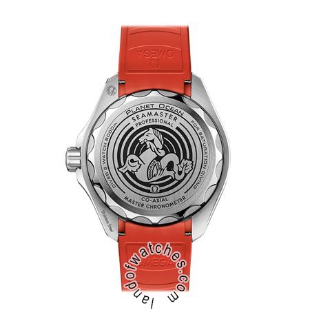 Buy OMEGA 215.32.46.21.06.001 Watches | Original