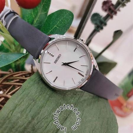 Buy Women's SEIKO SWR079P1 Classic Watches | Original
