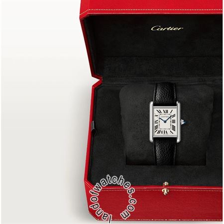 Buy CARTIER CRWSTA0041 Watches | Original