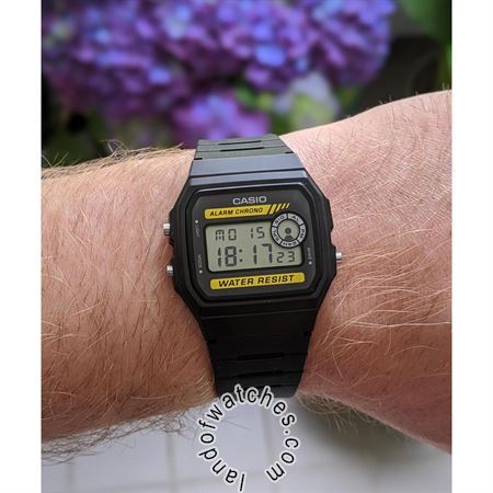 Buy Men's CASIO F-94WA-9DG Watches | Original