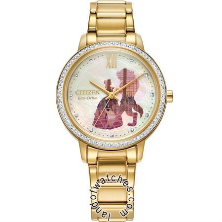 Watches Women's Fashion Watches