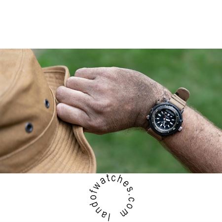 Buy Men's SEIKO SNJ029P1 Sport Watches | Original