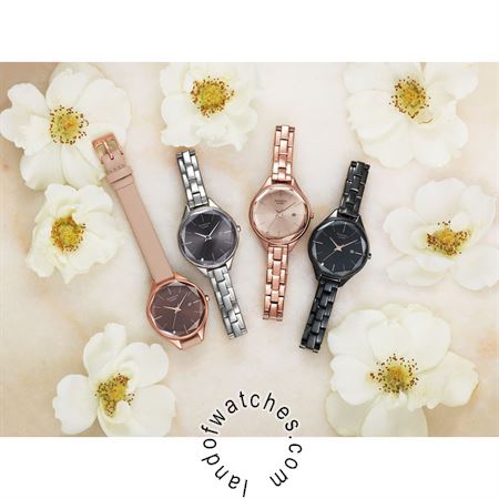 Buy CASIO SHE-4062PGL-5A Watches | Original