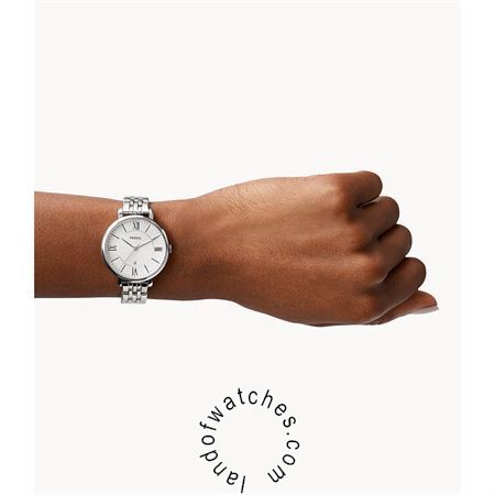 Buy Women's FOSSIL ES3433 Classic Watches | Original