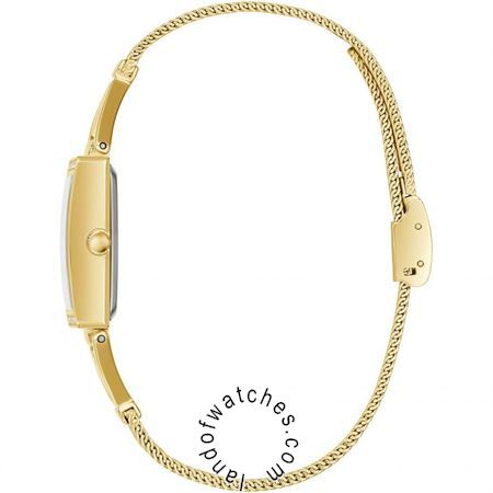 شراء ساعة معصم نسائیه غس(GUESS) GW0400L2 موضه | | | الأصلي