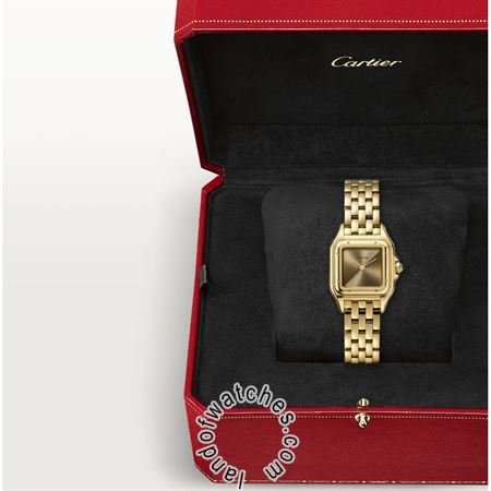 Buy CARTIER CRWGPN0031 Watches | Original