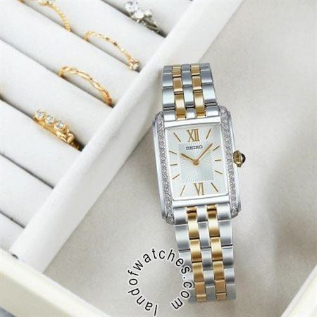 Buy Women's SEIKO SWR093P1 Fashion Watches | Original