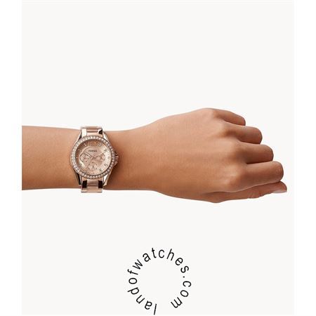 Buy Women's FOSSIL ES2811 Classic Fashion Watches | Original