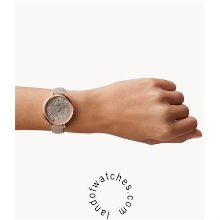 Buy Women's FOSSIL ES5091 Classic Watches | Original