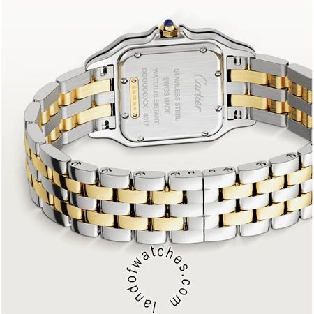 Buy CARTIER CRW2PN0007 Watches | Original