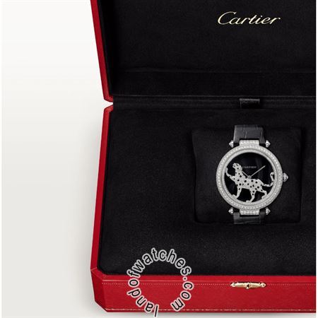 Buy CARTIER CRHPI00692 Watches | Original