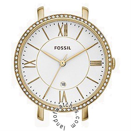 Buy FOSSIL C141015 Watches | Original