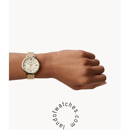 Buy Women's FOSSIL ES3434 Classic Watches | Original