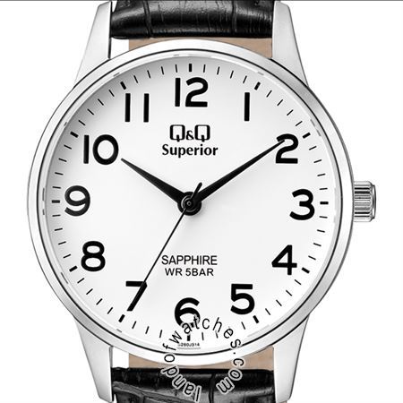 Buy Men's Q&Q S280J314Y Watches | Original