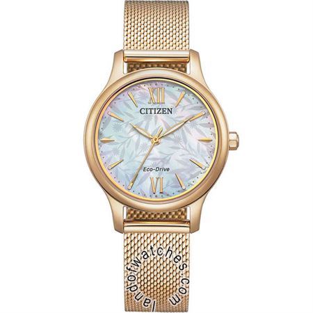Watches Women's Fashion Watches