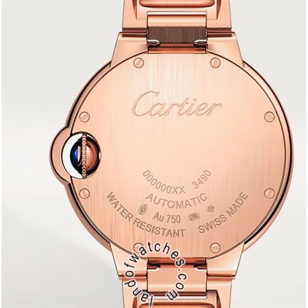 Buy CARTIER CRWE902034 Watches | Original