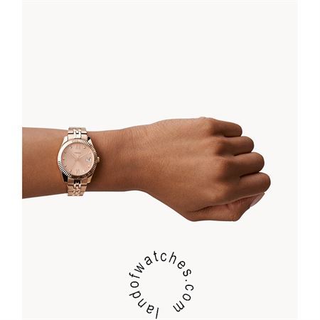 Buy Women's FOSSIL ES4898 Classic Watches | Original