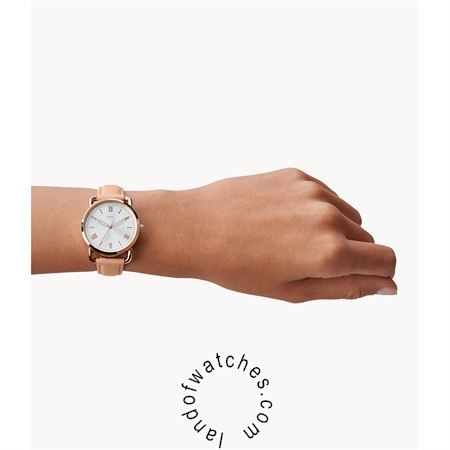Buy Women's FOSSIL ES4823 Watches | Original
