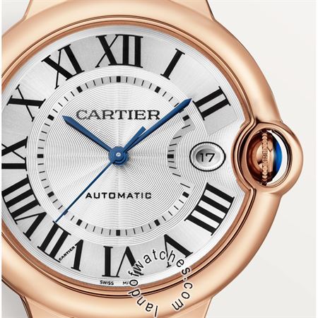 Buy CARTIER CRWGBB0035 Watches | Original