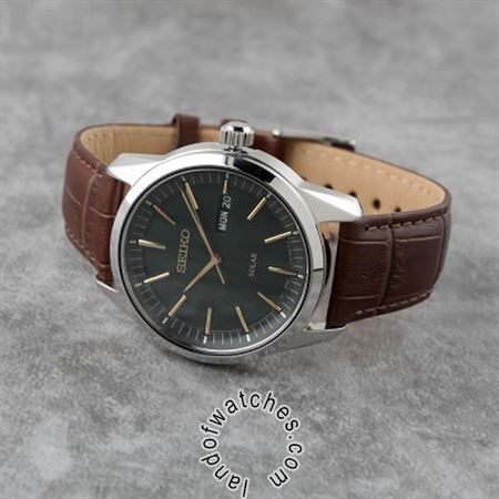 Buy Men's SEIKO SNE529P1 Classic Watches | Original